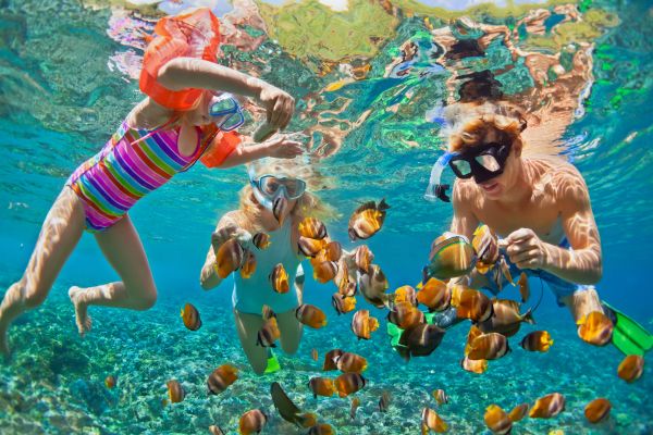 Familia haciendo snorkel y observando peces marinos en las aguas de las playas de Venezuela.
