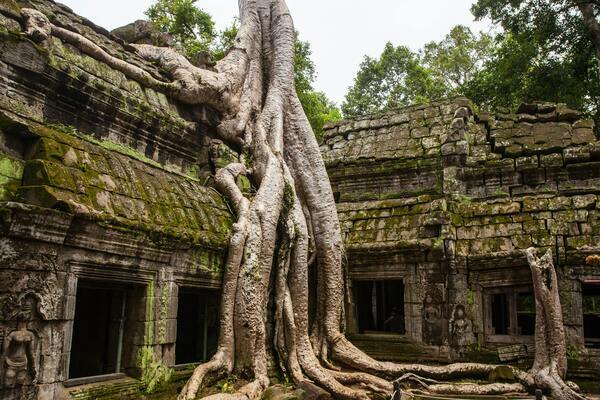Angkor Wat imagenes