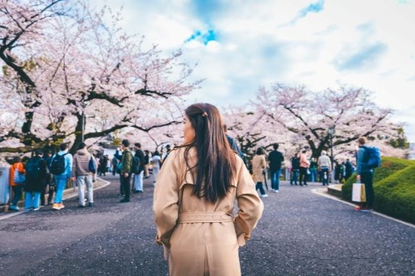 Turista mexicana caminando entre los árboles de cerezos en Tokio, uno de los lugares que visitar en Japón.