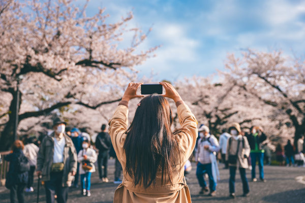 Turista con teléfono en alto tomando fotografía de las flores de cerezo en el parque Chidorigafuchi, Tokio, Japón