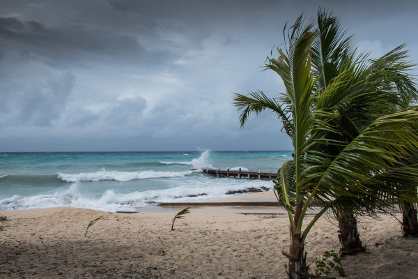 Vientos huracanados y cielos grises en una playa de Gran Caimán con olas agitadas golpeando contra un muelle y palmeras sacudiéndose.
