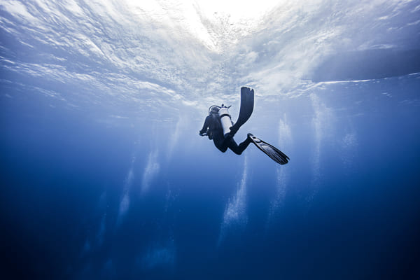 Natural wonders of jamaica