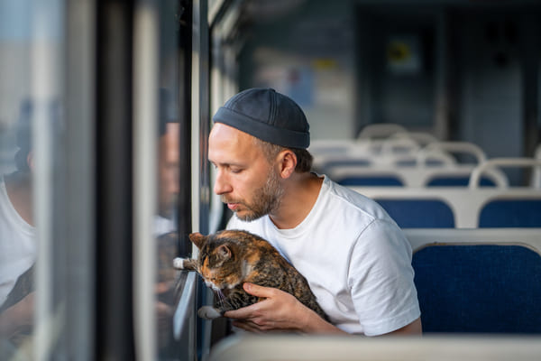 Viajar en autobús con mascotas