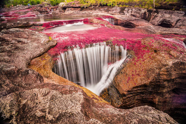 vista del Río Caño Cristales, Meta, Colombia.