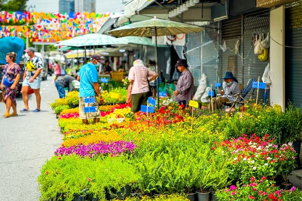 Puesto de plantas en el mercado de Chatuchak, que queda en Bangkok, Tailandia