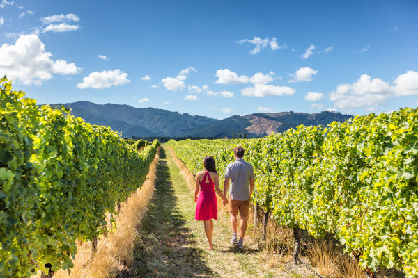 Pareja de turistas caminando tomados de la mano entre viñedos en un día soleado en Nueva Zelanda