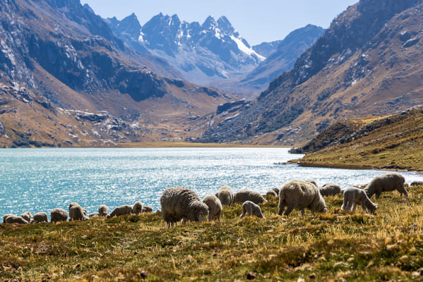 huanuco imagenes