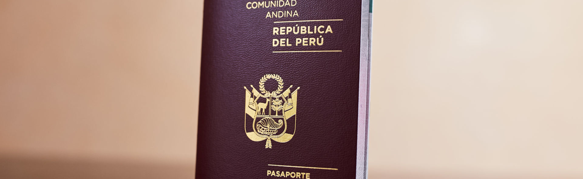 Contenido relacionado