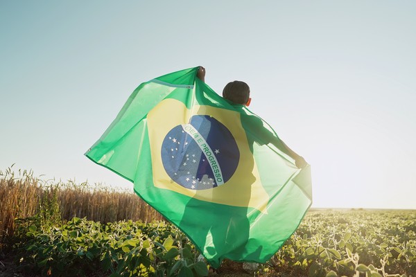 Niño sosteniendo una gran bandera de Brasil extendida sobre su espalda en un campo soleado.