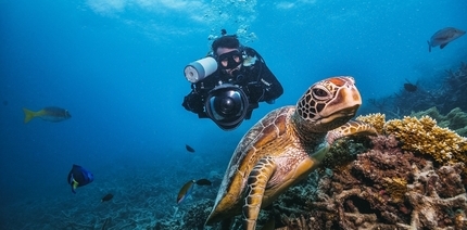 GREAT BARRIER REEF